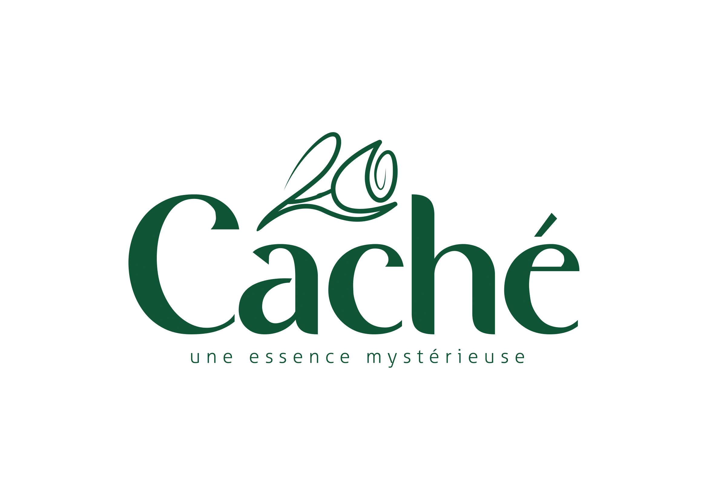 CACHE 